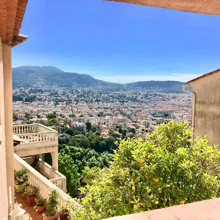 L'alivu Ницца
