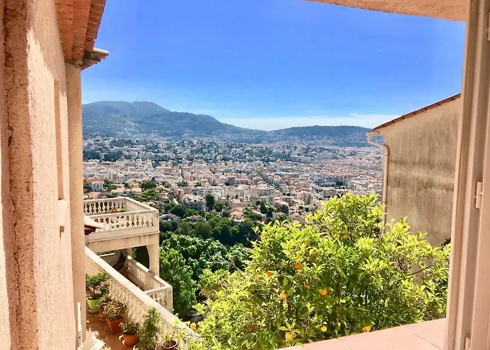 L'alivu نيس